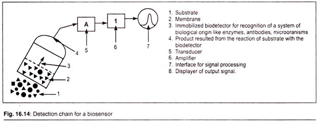 Detection Chain for a Biosensor